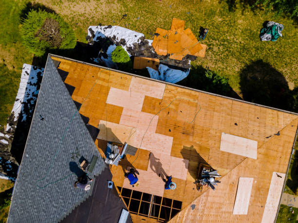 Best Metal Roofing Contractor  in Parsons, TN