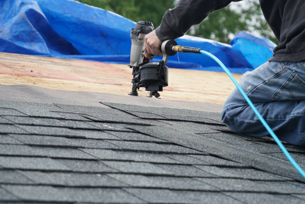 Best Local Roofing Companies  in Parsons, TN
