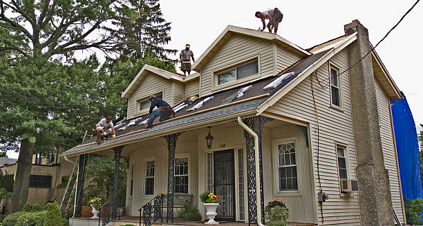 Best Shingle Roofing Installation  in Parsons, TN