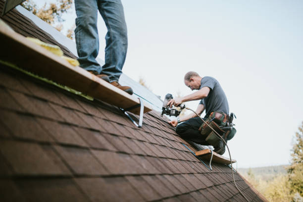 Best Storm Damage Roof Repair  in Parsons, TN